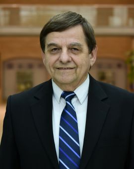 Prof. Dr. Lszl Baranyi